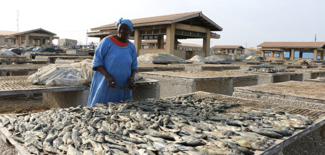 Traditional fish processing