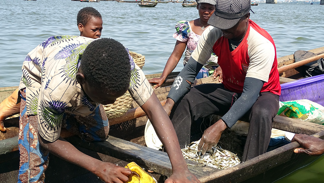Nigeria: Role of microfinance and insurance industries in small scale  fishery